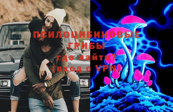 молекула духа Алексин