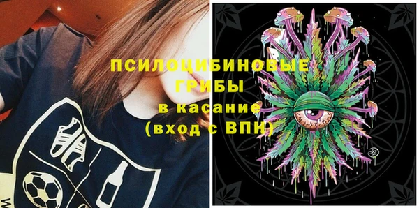 хмурый Алзамай