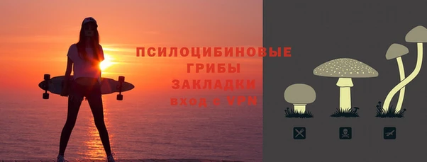 хмурый Алзамай