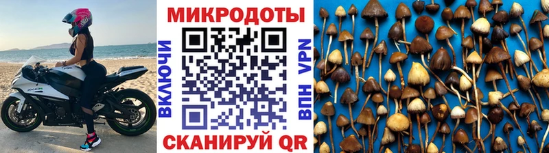 Псилоцибиновые грибы мицелий  Щигры 